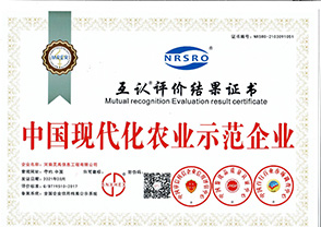 中国现代化农业示范企业
