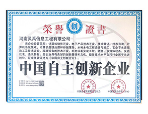 中国自主创新企业